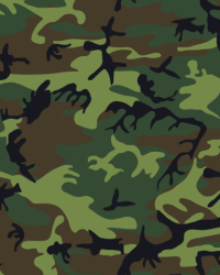 Wallpaper Camouflage
