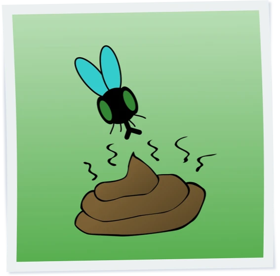 Abbildung: Klingelton Fliege