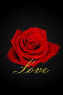 Feuerwehr klingelton iphone Feuerwehr klingelton iphone